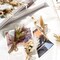 12-Pack Mini Dried Pampas Grass Bouquets – Natural Boho Floral Stems for Crafts, Wedding Centerpieces, Home Décor, Party Decorations, and Vase Arrangements
